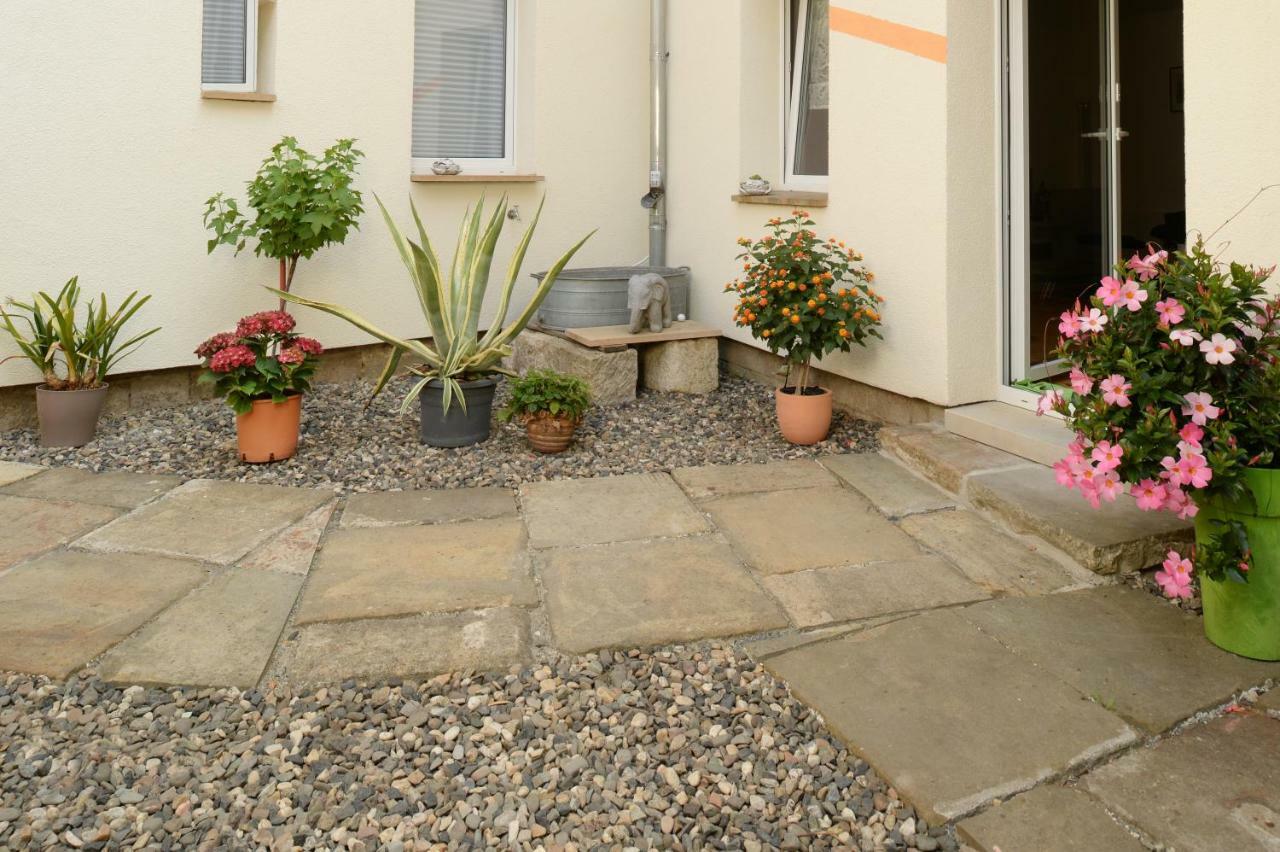 Hortensiensuite Pirna